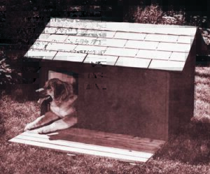 INSULATED DOG KENNEL