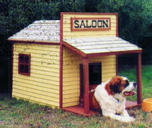 SALOON DOG KENNEL