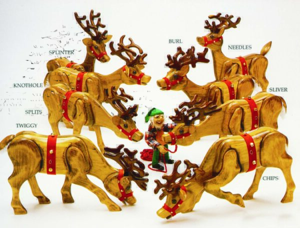 EIGHT DIFFERENT REINDEERS