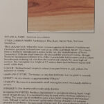 Timber Buyers Guide Addition 4